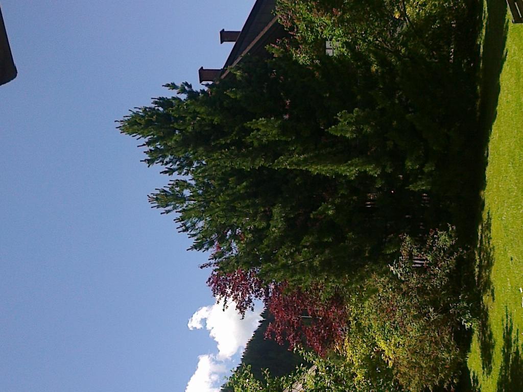 Ferienhaus Zipfmatl Keusche Bad Kleinkirchheim Buitenkant foto